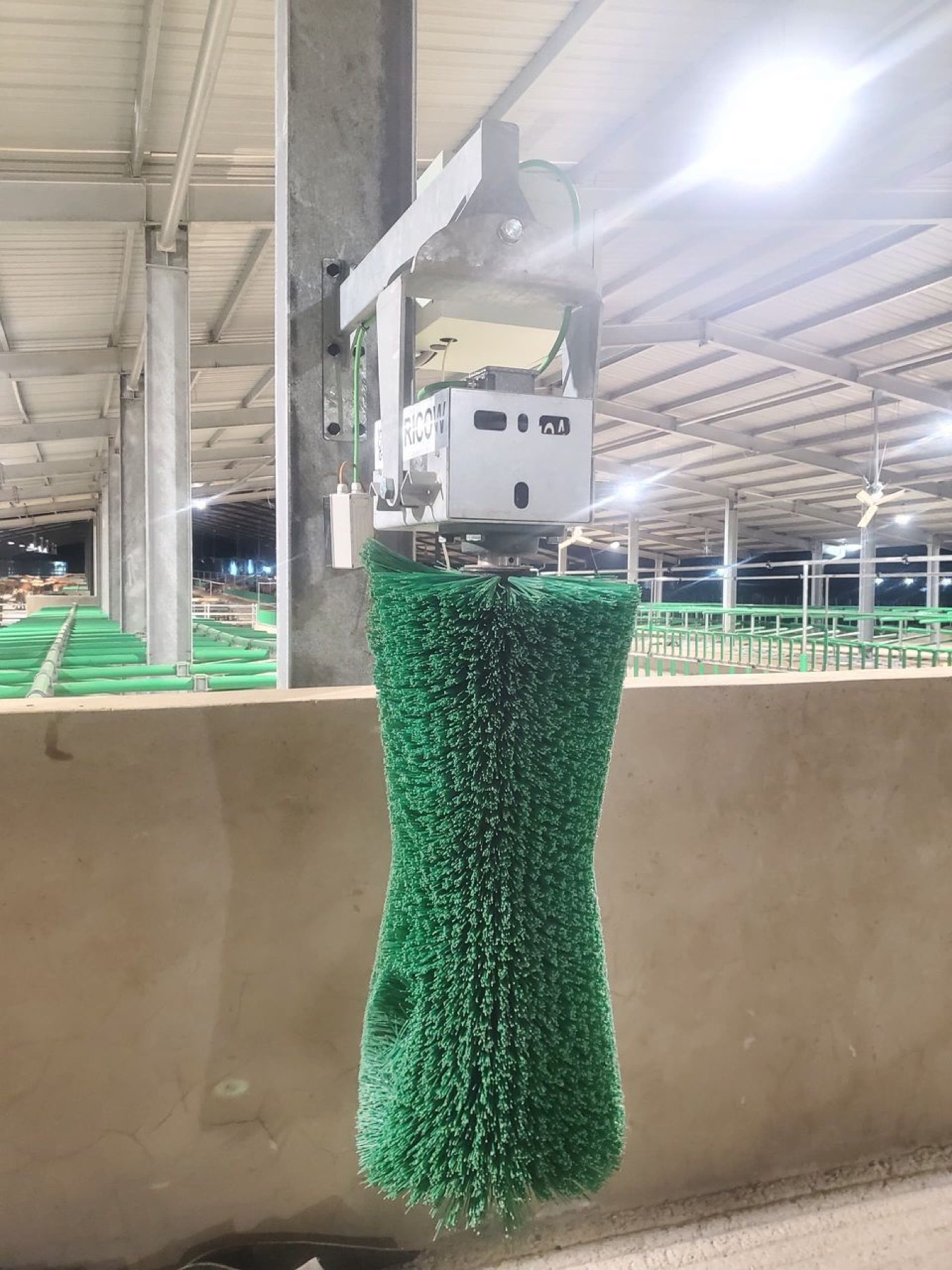Cow brush installed in the shed