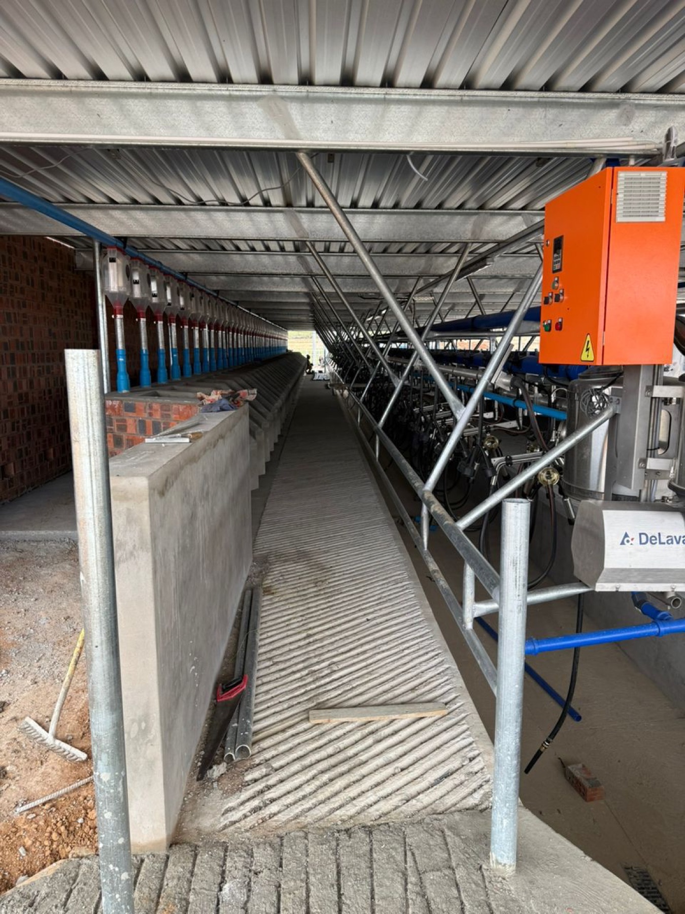 Cattle footbath walkway