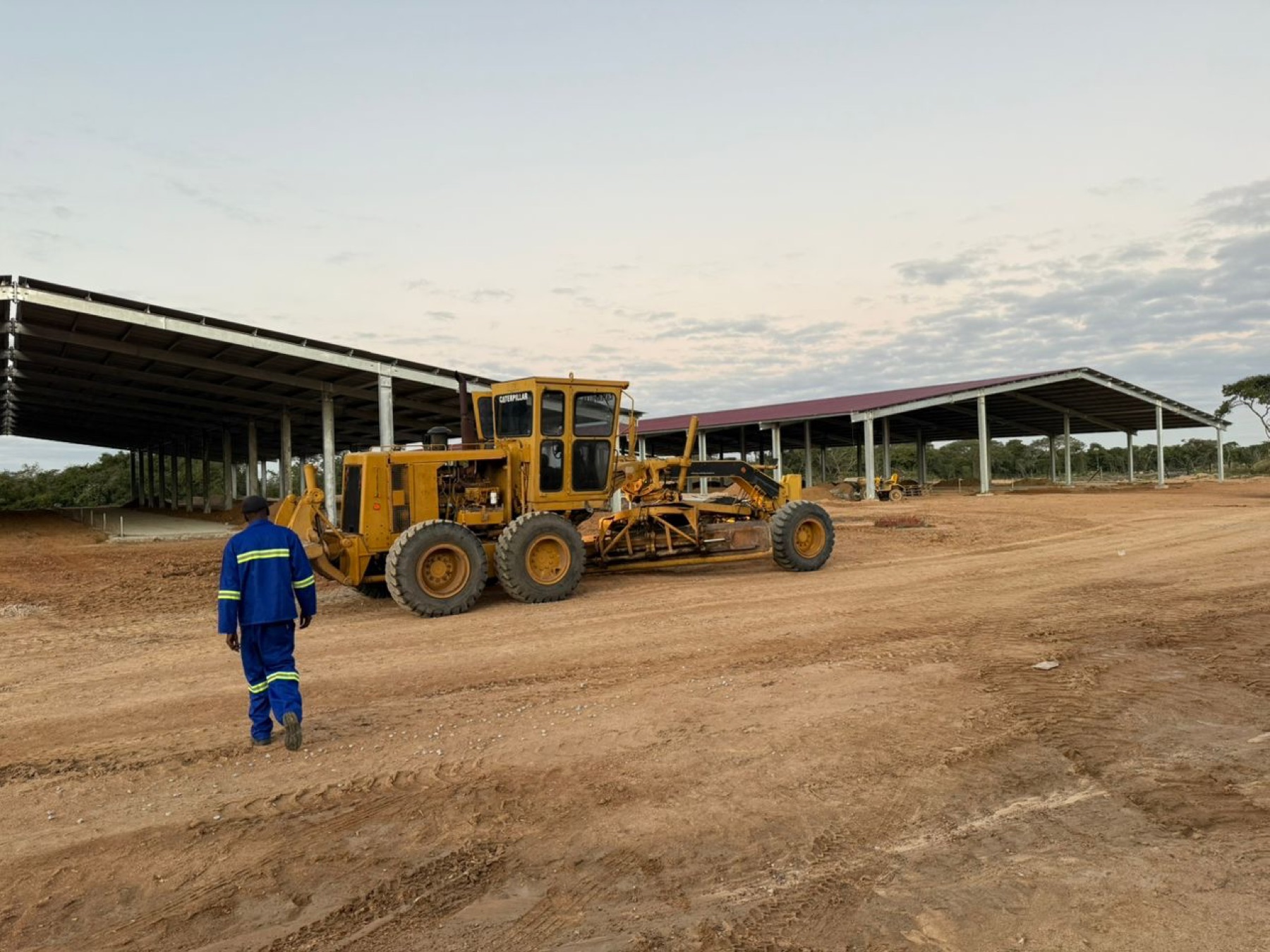 Grader levelling the yard between sheds