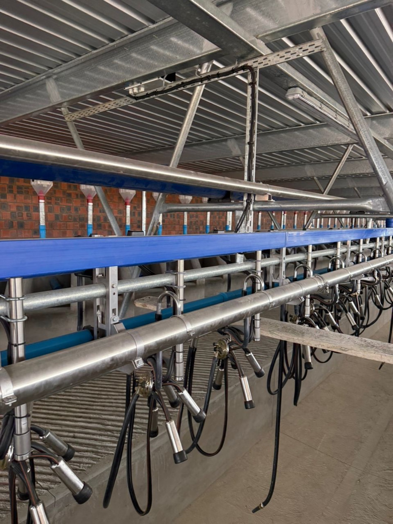Milking parlour equipment installation