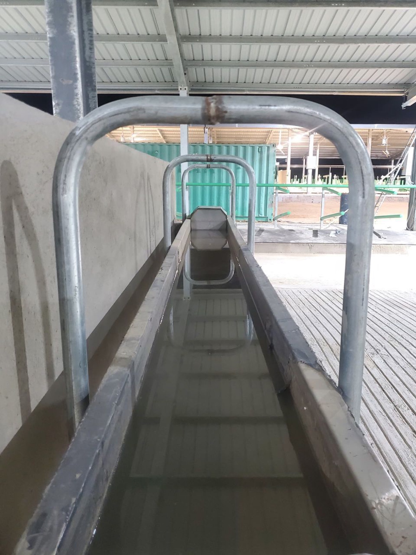 Covered walkway between sheds