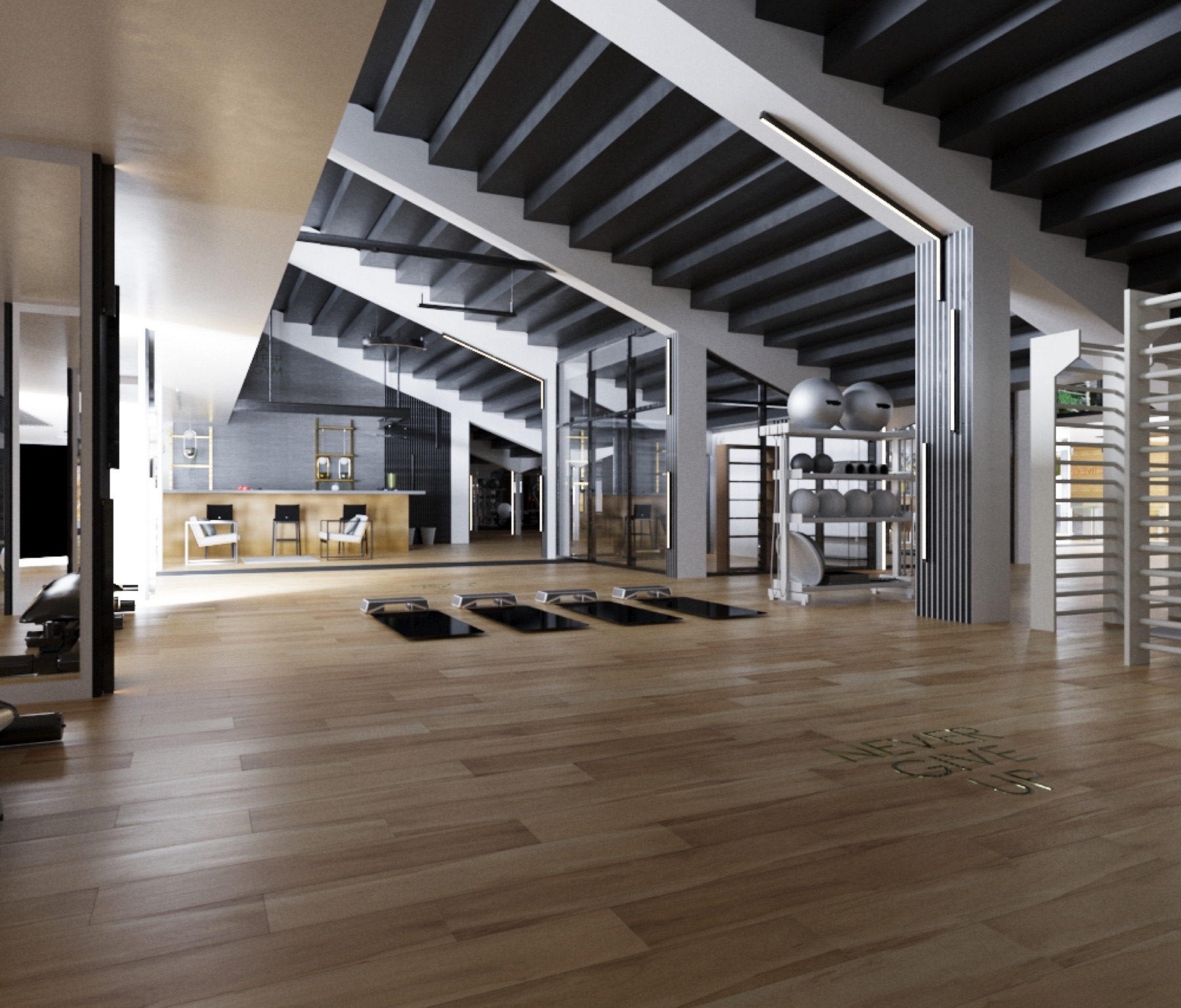 Gym concept — functional training area