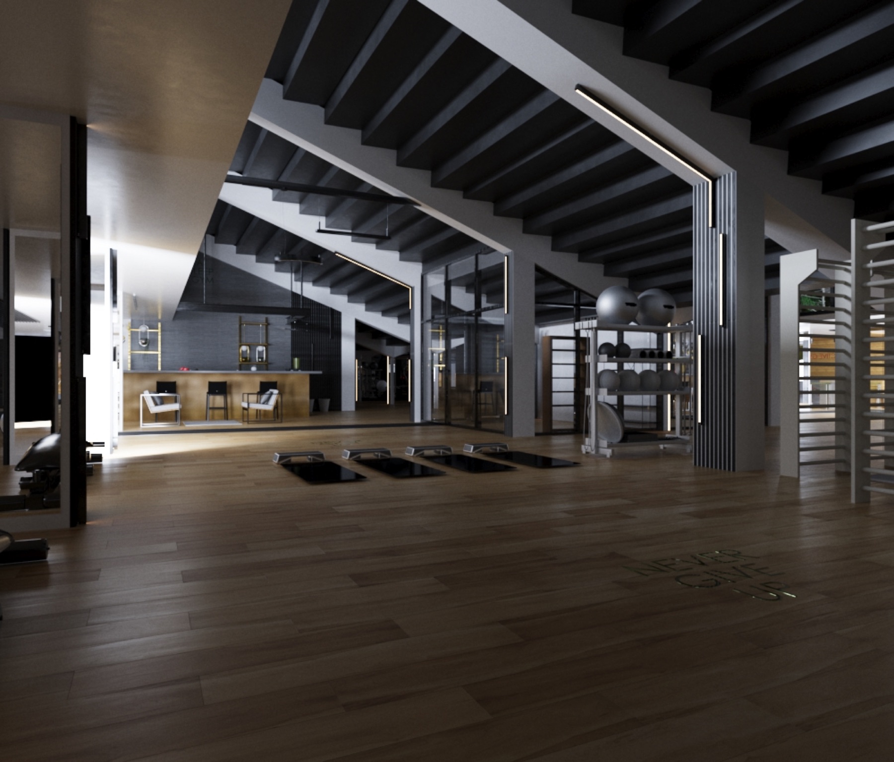 Gym concept — mirror-lined studio