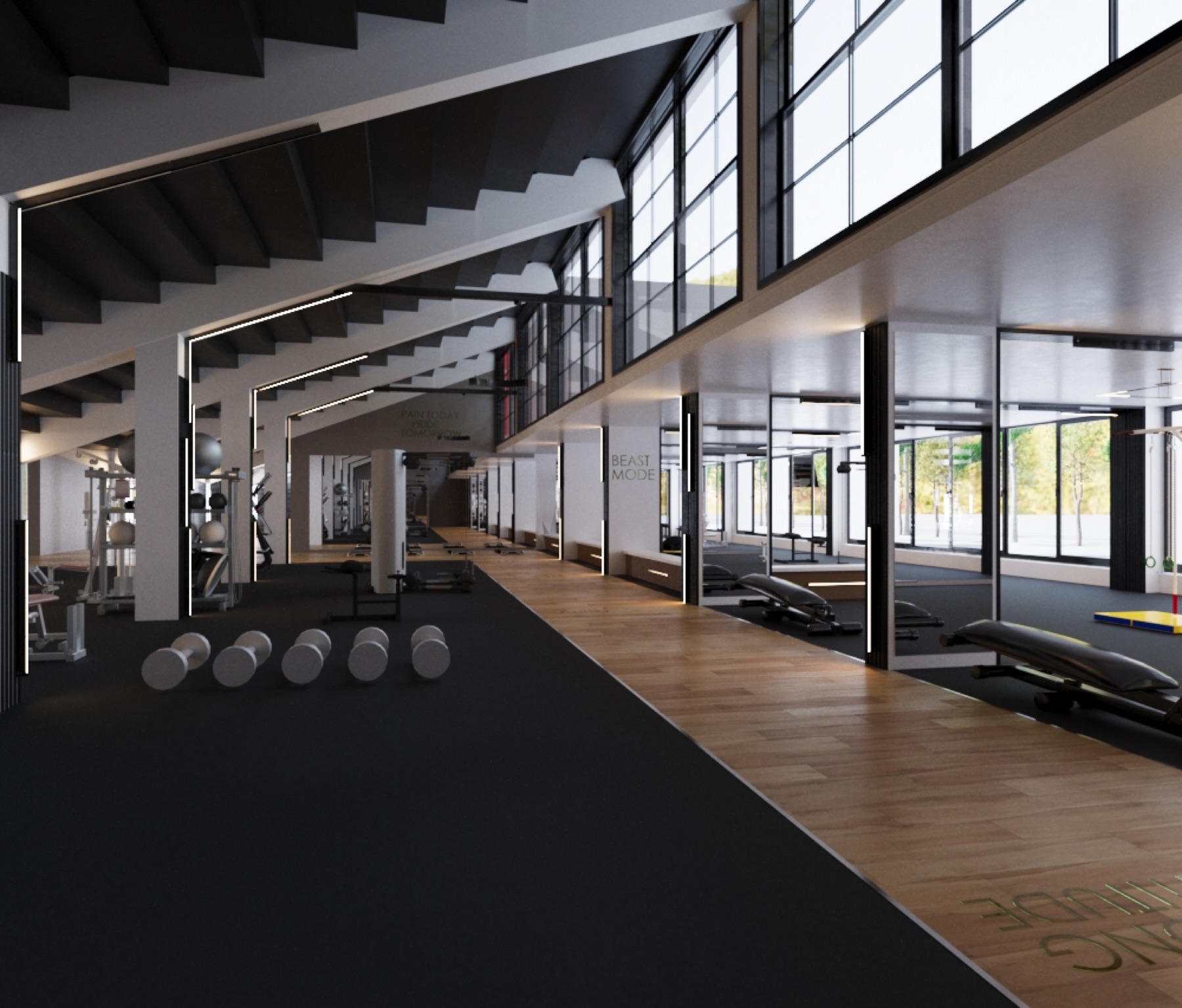 Gym concept — free-weights area